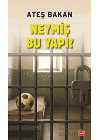 Resim Neymiş Bu Yapı Ciltli Kırmızı Kedi Yayınevi 