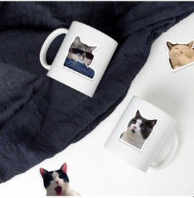 Resim Büro Ev Ofis Bilgisayarı İçin Macbook Uyumlu Notebook Laptop Kedicikler Sticker Seti 