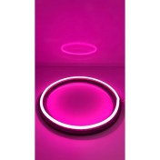Resim 20CM Neon Pembe Midrange Kasnağı 