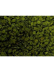 Resim Veggie Pro Chips 1000ML Green Algae Clear Immune Protect Omega-3 Akvaryum Balık Yemi 