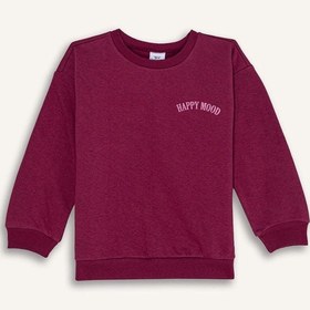 Resim DeFacto Kız Bebek Bisiklet Yaka Baskılı Kalın Sweatshirt D1539A524AUBR490 Bordo 