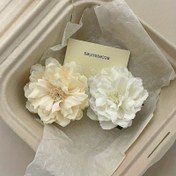 Resim Bahar ve Yaz Tatil Stili için Yeni Yan Klips, Tatlı Saç Klipsi. 