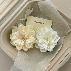 Resim Bahar ve Yaz Tatil Stili için Yeni Yan Klips, Tatlı Saç Klipsi. 