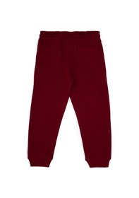 Resim U.s. Polo Assn. Erkek Çocuk Bordo Eşofman Altı 50314026-vr014 Bordo 