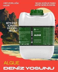 Resim Agroege İthal Sıvı Deniz Yosunu Algue Gübre 20 LT 
