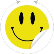 Resim Kutu Ambalaj Smile Gülen Yüz Etiketi 25 mm Çapında 700 Adet 