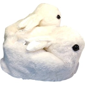 Resim Akınal Bella H023 Z 0000 Kadın Tavşan Figürlü Ev Pandufu Bej 