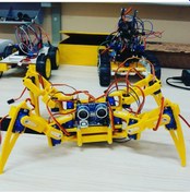 Resim Örümcek Robot 12 Sg90 Siyah 