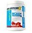 Resim Sporfit Nutrition RecoverX Bcaa - Glutamine 540 GR Karpuz 30 Servis 