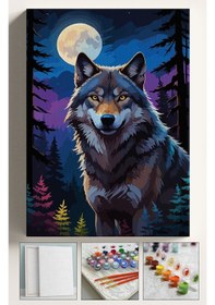 Resim Sayılarla Boyama Seti Numaralı Tuval Fırça Boya Dahil Kasnaklı Set 40x50 Cm - Dolunay Kurt 