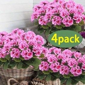 Resim 4 Adet Gerçekçi Yapay Pembe Sardunya - Canlı Yeşil Yapraklı, Her Mevsim İç/Dış Mekan Dekoru için Plastik Çiçekler, Bahçe, Teras, Düğünler, Ev Süslemesi, Sulama Gerektirmeyen, Bakım Gereksiz Suni Bitkiler, Yıl Boyu Dekorasyon, Dış Mekan Çiçekleri, Teras Süsleme, Yağmura Dayanıklı, Tatil Dekorasyonu 