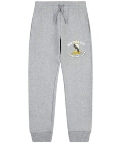 Resim Panios Kids New York City Baskılı Çift Cepli Erkek Çocuk Jogger Eşofman Altı Gri 