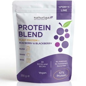 Resim NATURİGA Berry Protein Karışımı(Berry Blend) 250g 