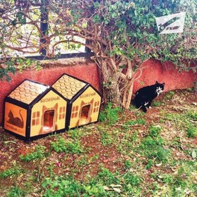 Resim Kedihane Kedi Evi 