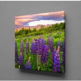 Resim Sümbül Manzarası Kanvas Tablo 