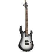 Resim Donner DMT-102B Elektro Gitar (Silver Burst) 