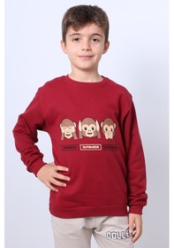 Resim Hçm Erkek Çocuk Şardonlu Sweat Karakter Baskılı Ribanalı E34 Bordo 