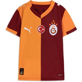 Resim Puma Galatasaray 25/26 İç Saha Forması 