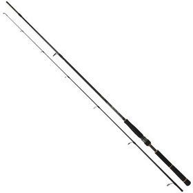Resim Daiwa New Bg Seabass 244 CM 7-28 Gr 2 Parça Spin Olta Kamışı 