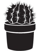 Resim Kıvırcıkyoga Saksı Çiçeği Kaktüs Tip 6 25x37 Cm 