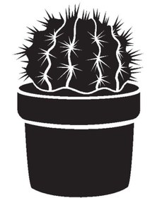 Resim Kıvırcıkyoga Saksı Çiçeği Kaktüs Tip 6 25x37 Cm 