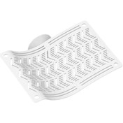 Resim Homyl Sürüngen Hamak Tırmanıcı Kertenkeleler Şezlong Lguana 