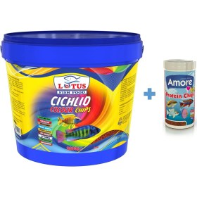 Resim Lotus Cichlid Colour Chips 3 kg Kova + Amore Pro Protein Chips 250 ml Kutu Malawi Renklendirme Balık Yemi 