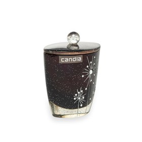 Resim Primanova Angel Pamuk Kutusu 