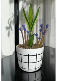 Resim Omnipazar Krs-211 Dekoratif Karo Desenli Saksı 1.4 Litre No 1 Beyaz 