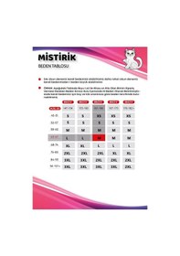 Resim Mistirik Portici Model Yüksek Bel Toparlayıcı Hamile Külot Ten Renk Ten 