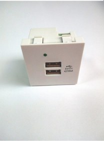 Resim USB Şarj Aleti 2 Port 45X45 Kanal için 