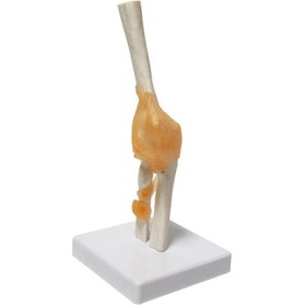 Resim Genel Markalar Dirsek Eklemi Model 39 