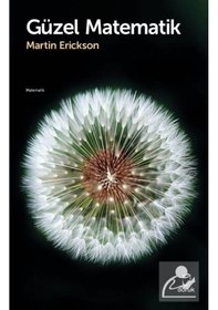 Resim Güzel Matematik - Martin Erickson - Doruk Yayınları 