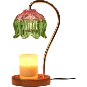 Resim Oasis Oasis Mum Isıtıcı Lamba Sevimli Mum Lamba Zamanlayıcı ve Kısılabilir Ev Isınma Yeni Ev Lotus Balmumu Eriyik Isıtıcı Abd Plug (Yurt Dışından) 