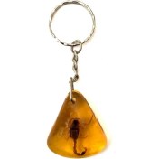 Resim Tesbihkenti Üçgen Model Akrep Fosilli Anahtarlık 