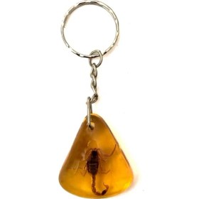 Resim Tesbihkenti Üçgen Model Akrep Fosilli Anahtarlık 