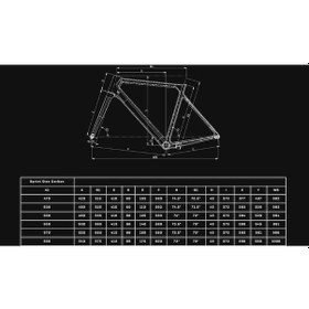 Resim Bianchi Sprint Icr Shimano 105 12v-veloman Vr30 Celeste/sx 