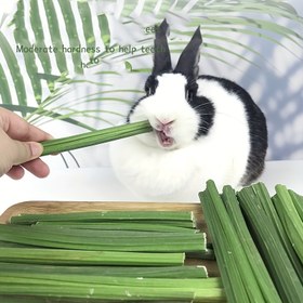 Resim 20g Dayanıklı Tavşan Çiğneme Çubukları, Küçük Evcil Hayvanlar, Hamsterler ve Tavşanlar İçin Bitkisel Sentetik Fiber Diş Sağlığı Hediyeleri, Çiğneme Dirençli Evcil Hayvan Malzemeleri 