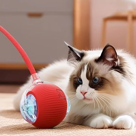 Resim MIAOQUANJI Etkileşimli Kedi Oyuncağı Topu - Akıllı Hareketli Elektrikli Yuvarlanan Top ile Kuyruk İpi, İç Mekan Oynama için USB Şarj Edilebilir Silikon Oyuncak, Tüm Kedi Boyutları için Güvenlidir 
