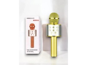 Resim Eco Lounge Kareoke Mıkrofon 