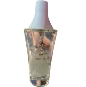 Resim ADRENALYNPUR EG-67 Erkek Parfüm 100Ml 