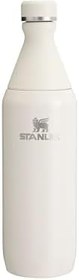 Resim Stanley All Day Slim Soğuk Su Şişesi Termosu, 0.6 L 