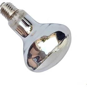 Resim 1 ad. Infrared Isıtıcı Lamba (375W) -Şeffaf 