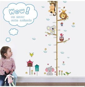 Resim Boy Ölçer Boy Cetveli Duvar Sticker Koala Fil Ayı Aslan 
