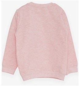 Resim Breeze Kız Çocuk Sweatshirt Ayıcık Aksesuarlı 1.5-5 Yaş, Somon Melanj-somon Melanj Somon Melanj 