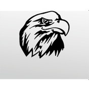 Resim Folyo Sticker Kartal Adkpquy618 50cm Uzunluk Siyah 