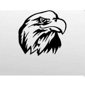 Resim Folyo Sticker Kartal Adkpquy618 50cm Uzunluk Siyah 