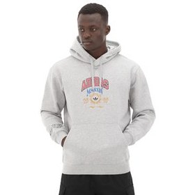Resim adidas Vrct Hooded 1 Erkek Sweatshirt Gri 