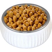 Resim Mikopet Organik Seramik Mama Kabı Beyaz 