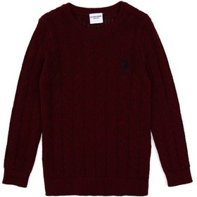 Resim U.s. Polo Assn. Erkek Çocuk Bordo Kazak /triko 50315638-vr014 Bordo 